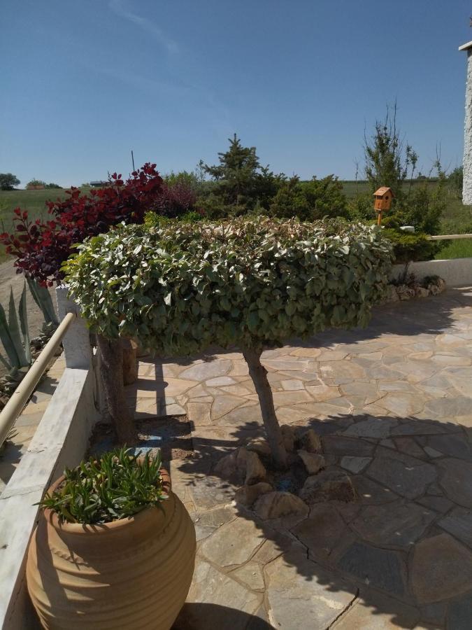 Alkyonabeach Polimeris Platanitis Exterior foto